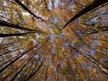 8113900790_eeb4a9b8d2_c