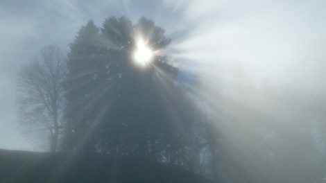 foggy-day-but-climbing-was-ok3